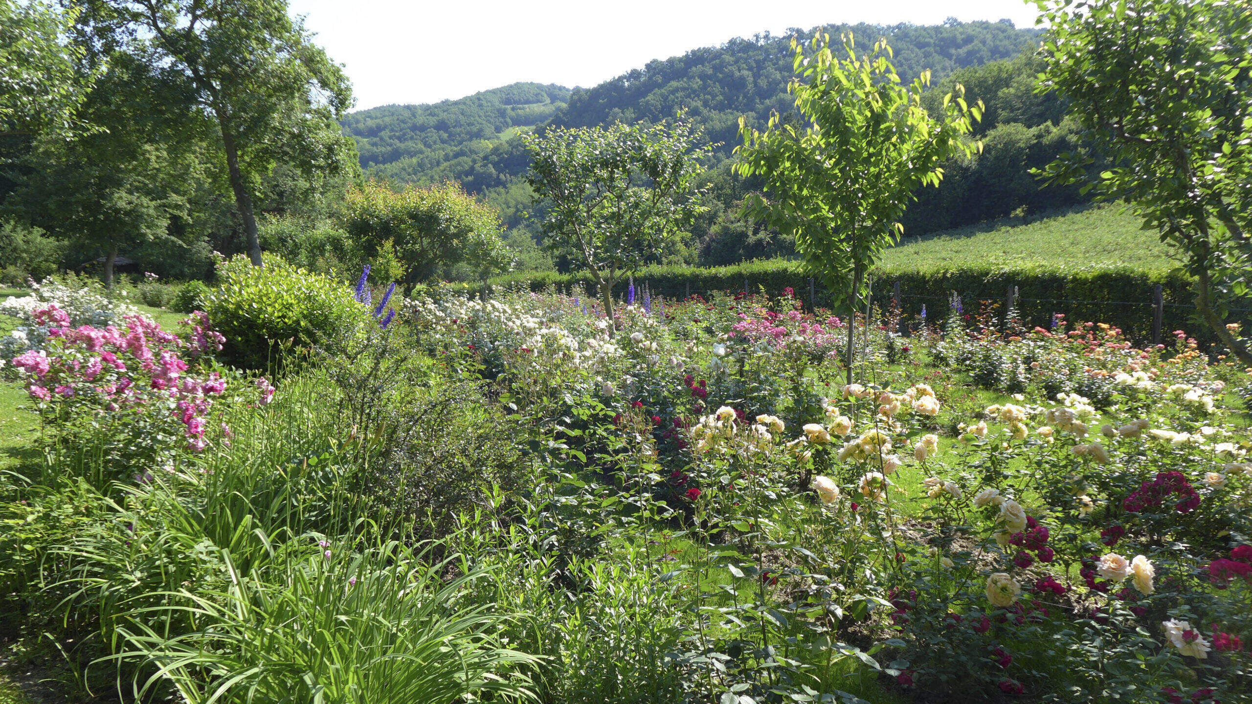 Giardino del Castello