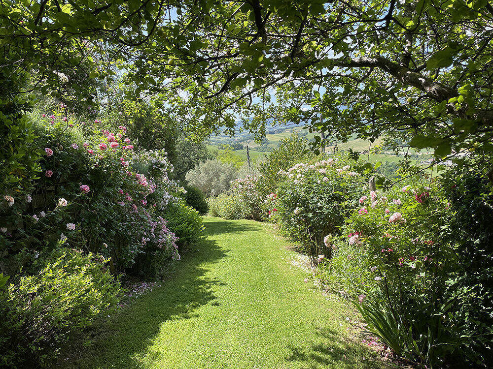 Ingresso sposi nel parco storico della Rocca d'Ajello